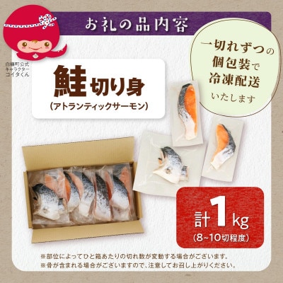 アトランティックサーモン 計1kg(8～10切程度)