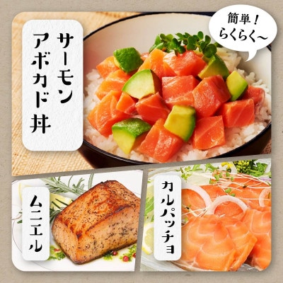 【3ヵ月毎定期便】エンペラーサーモン【900g】全4回