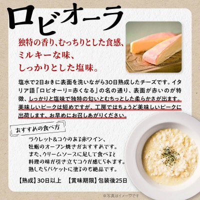 白糠酪恵舎チーズ3種セット【スカモルツァ、トーマ・シラヌカ、ロビオーラ】