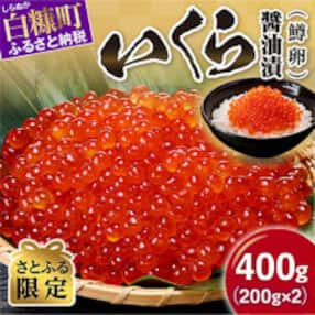 【さとふる限定】 鱒いくら醤油漬け 400g(200g×2) 小分けパック