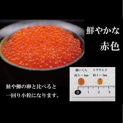 ひめしずく 400g(200g×2) いくら醤油漬け 小分けパック | 北海道白糠町 