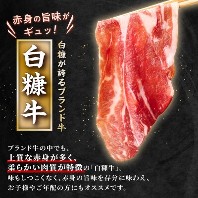 【訳あり】北海道産 白糠牛 切り落とし【1kg(250g×4パック)】