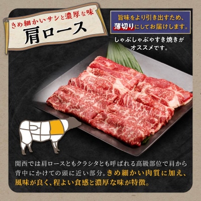 白糠牛 食べ比べセット 計1.7kg 肩ローススライス/赤身