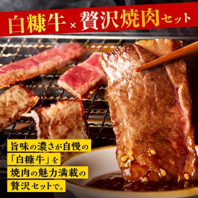 白糠牛 焼肉セット【500g】