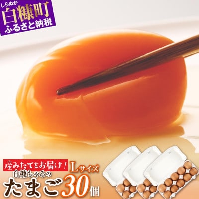 たかはしさんの新鮮卵【30個】