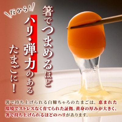 たかはしさんの新鮮卵【30個】