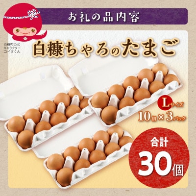 たかはしさんの新鮮卵【30個】