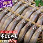 しらぬか産 本ししゃも 【数量限定】計20尾