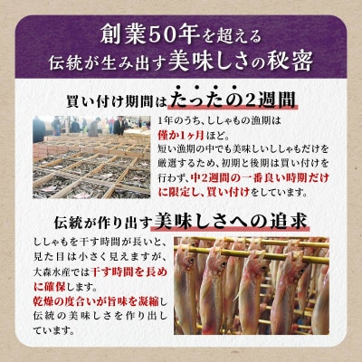 【さとふる限定】しらぬか産 本ししゃも 【数量限定】計40尾
