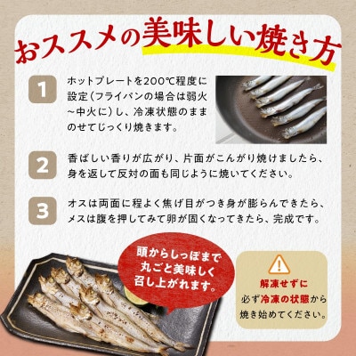【さとふる限定】しらぬか産 本ししゃも 【数量限定】計40尾