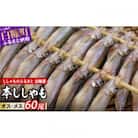 しらぬか産 本ししゃも 【数量限定】計60尾