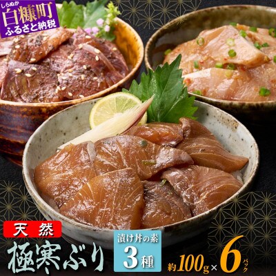 天然 極寒ぶり 厳選3種 漬け丼の素 セット 600g 3種セット (各2パック)