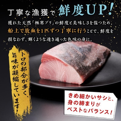 天然 極寒ブリ ブリしゃぶ セット 400g (3～4人前)
