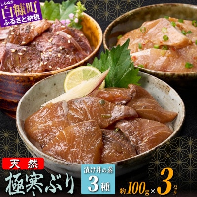 天然 極寒ぶり 厳選3種 漬け丼の素 セット 300g 3種セット (各1パック)