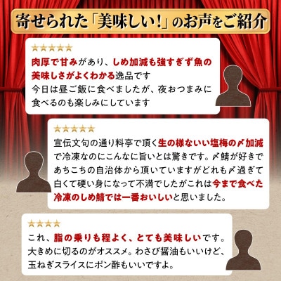 北海道産 炙りしめ鯖 小サイズ 4枚