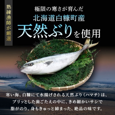 【さとふる限定】北海道産 天然ぶり (ハマチ) 漬け丼の素 500g (100g×5袋)