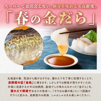 北海道産 春の金だら 真鱈 ブロック 600g