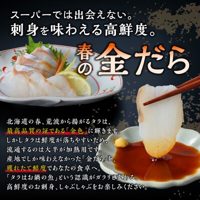 北海道産 春の金だら 真鱈 ブロック 1.2kg