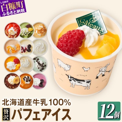シラリカパフェアイス 贅沢アソート　12種セット 各1個