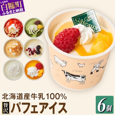 シラリカパフェアイス 贅沢アソート　6種セット 各1個