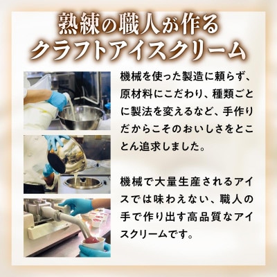 シラリカパフェアイス 贅沢アソート　6種セット 各1個