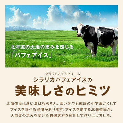 【ふるさと納税】シラリカパフェアイス 贅沢アソート16個
