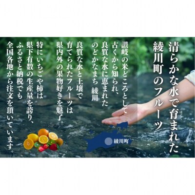さぬきひめ苺　つる付き約400g×2箱 [54010109]