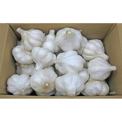 乾燥にんにく約1.5kg 野菜 [54010118]