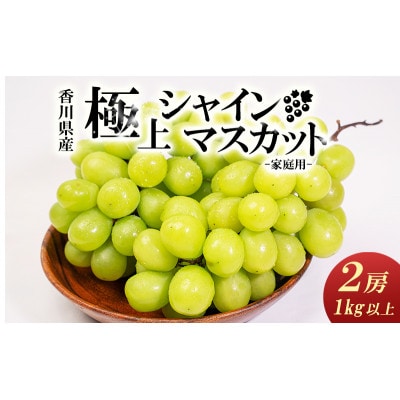 家庭用シャインマスカット　2房入り 1kg以上 [54010119]