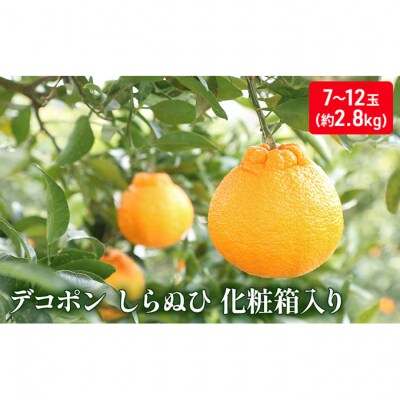 ハウスデコポン(しらぬひ)化粧箱(約2.8kg) [54010175]