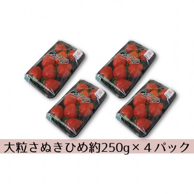 大粒さぬきひめいちご　DX250g×4パック [54010205]