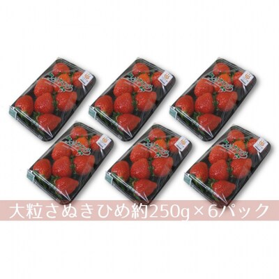 大粒さぬきひめいちご　DX250g×6パック [54010206]