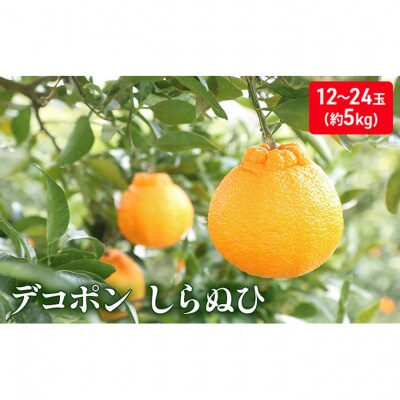 しらぬひ　約5kg デコポン [54010208]