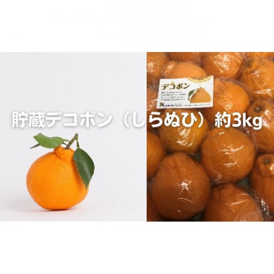 貯蔵デコポン(しらぬひ)約3kg [54010236]