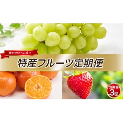 【発送月固定定期便】特産 フルーツ 定期便 (年3回) 果物類  [54010184]全3回