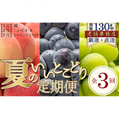 【発送月固定定期便】夏のいいとこどり定期便(7・8・9月発送) [54010343]全3回