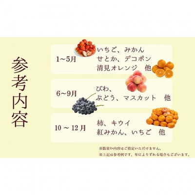 【毎月定期便】旬を見極めた厳選フルーツ詰合せ-よくばりセット- 定期便[54010370]全4回