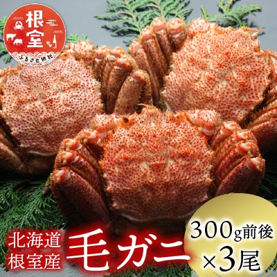 【北海道根室産】毛がに300g前後×3尾 B-21005