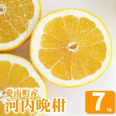 先行受付 河内晩柑 7kg 愛南ゴールド 愛媛県 愛南町 山口農園
