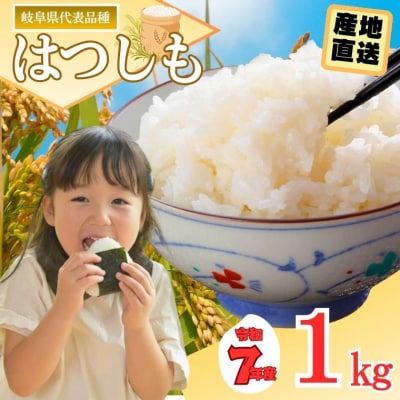 【岐阜県代表品種】令和7年産ハツシモ米　白米1kg【12月1日以降順次発送】