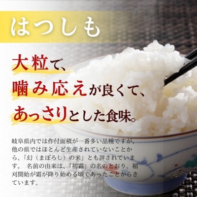 【岐阜県代表品種】令和7年産ハツシモ米　白米1kg【12月1日以降順次発送】
