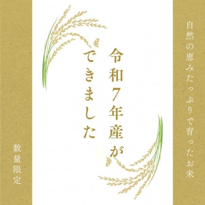 【岐阜県代表品種】令和7年産ハツシモ米　白米1kg【12月1日以降順次発送】