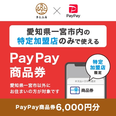 愛知県一宮市　PayPay商品券(6,000円分)※地域内の一部の加盟店のみで利用可