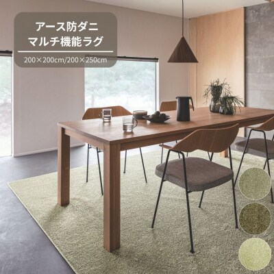 (ライトグリーン・200×200cm) 防虫・防ダニ・防カビ・抗菌のマルチ機能無地ラグ(H146)