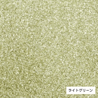 (ライトグリーン・200×250cm) 防虫・防ダニ・防カビ・抗菌のマルチ機能ラグ(H146)
