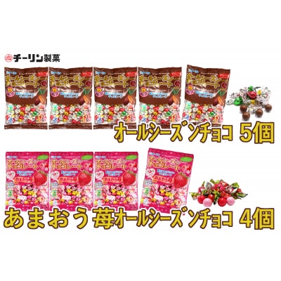80gオールシーズンチョコ 5袋・100gあまおう苺オールシーズンチョコ4袋のセット(A298)