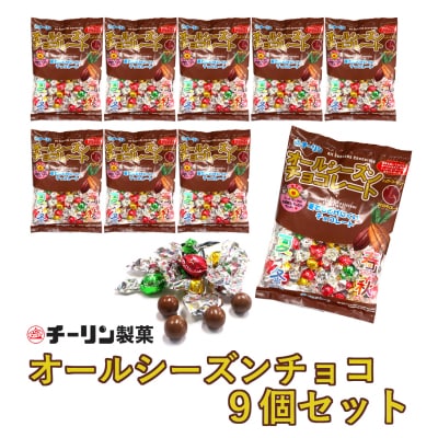 80gオールシーズンチョコ 9個(A299)