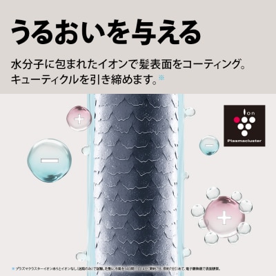 SHARP プラズマクラスタードライヤー IB-P602-W(ホワイト系)(P101)