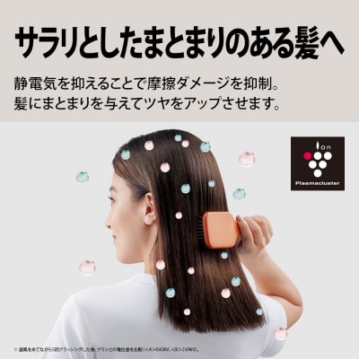 SHARP プラズマクラスタードライヤー IB-P602-W(ホワイト系)(P101)