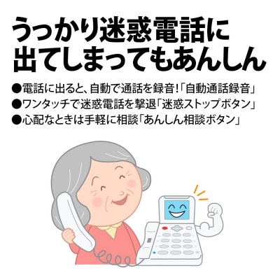 SHARP 電話機 JD-AT96CL(Q102)